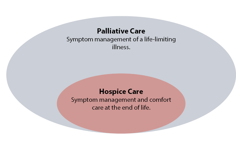 hospice and palliative care